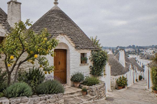 A single trullo house with a conical stone roof, a wooden door and a small herb garden in Alberobello