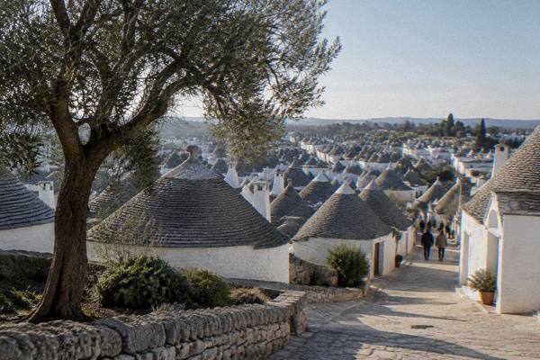 Rows of grey conical stone roofs on whitewashed houses spread over a gentle hillside in Alberobello, Puglia