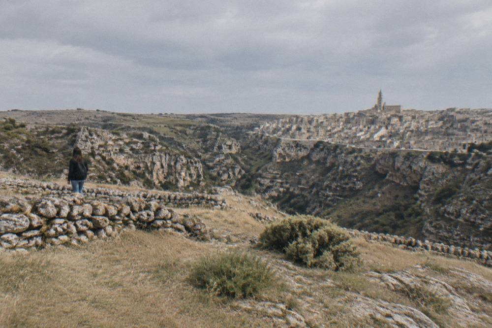 Dry stone walls crossing open grassland with scattered shrubs under a wide sky