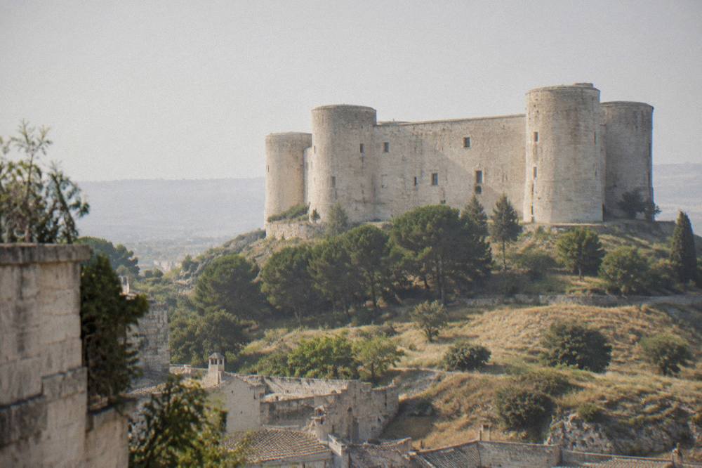 The castle towers rising above low trees and grass on the hilltop in soft light