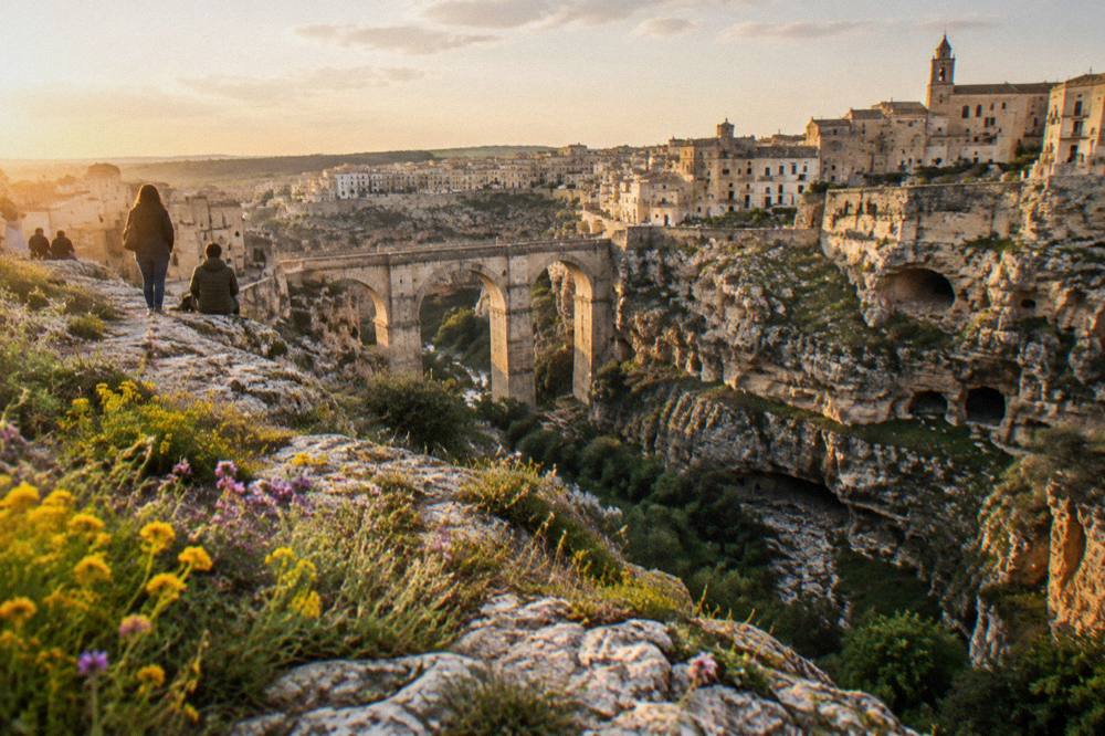 Spring wildflowers on a limestone plateau above a gorge