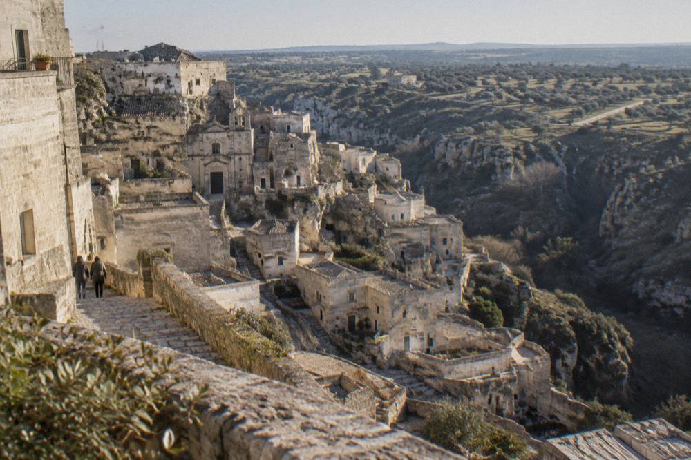 An olive grove landscape on the road between Matera and the Salento plain