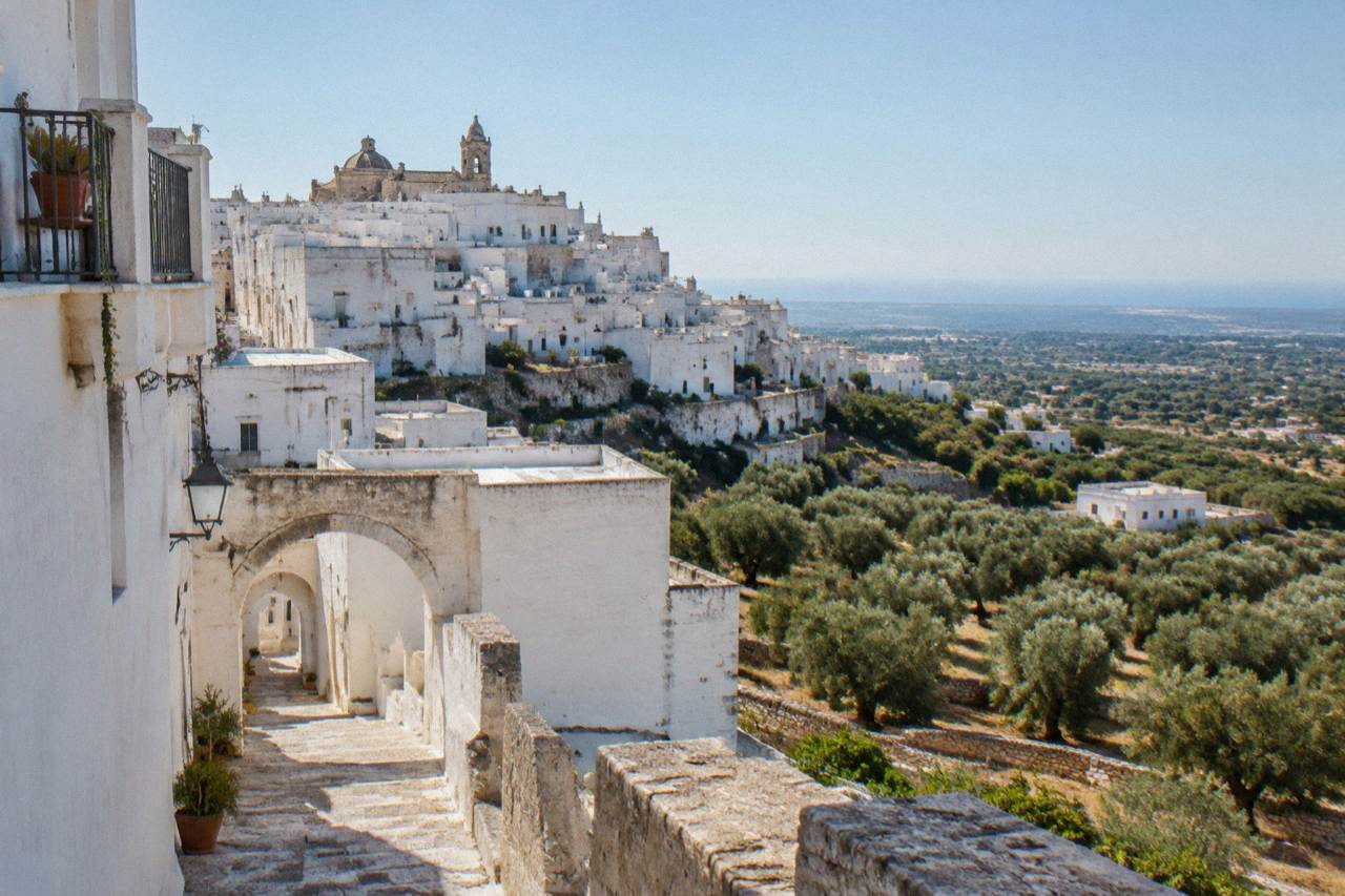 White hilltop town buildings rising above olive groves under a clear sky