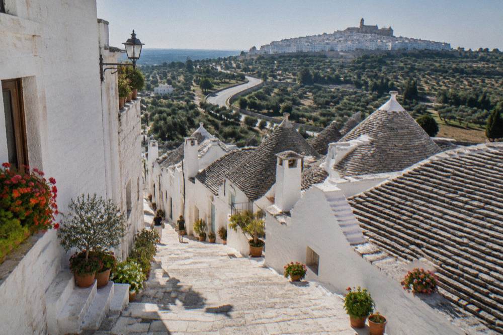 A country road winding through olive groves toward a hilltop town
