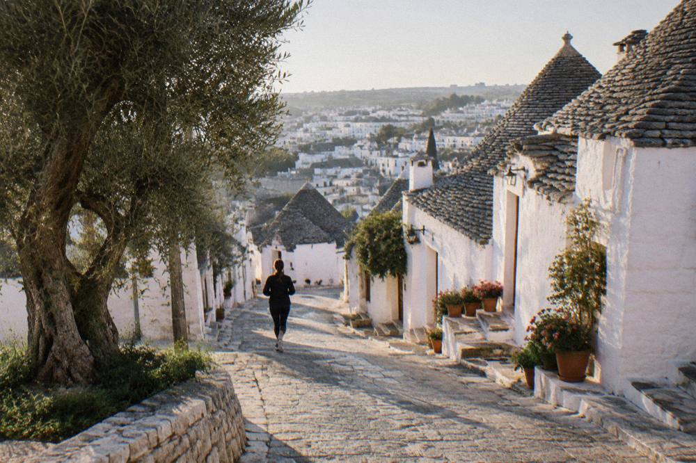 An olive tree in front of a white hill town on a warm late afternoon