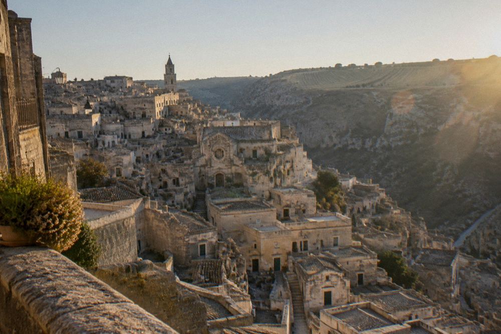 Rows of vines on a hillside near Matera under a clear afternoon sky